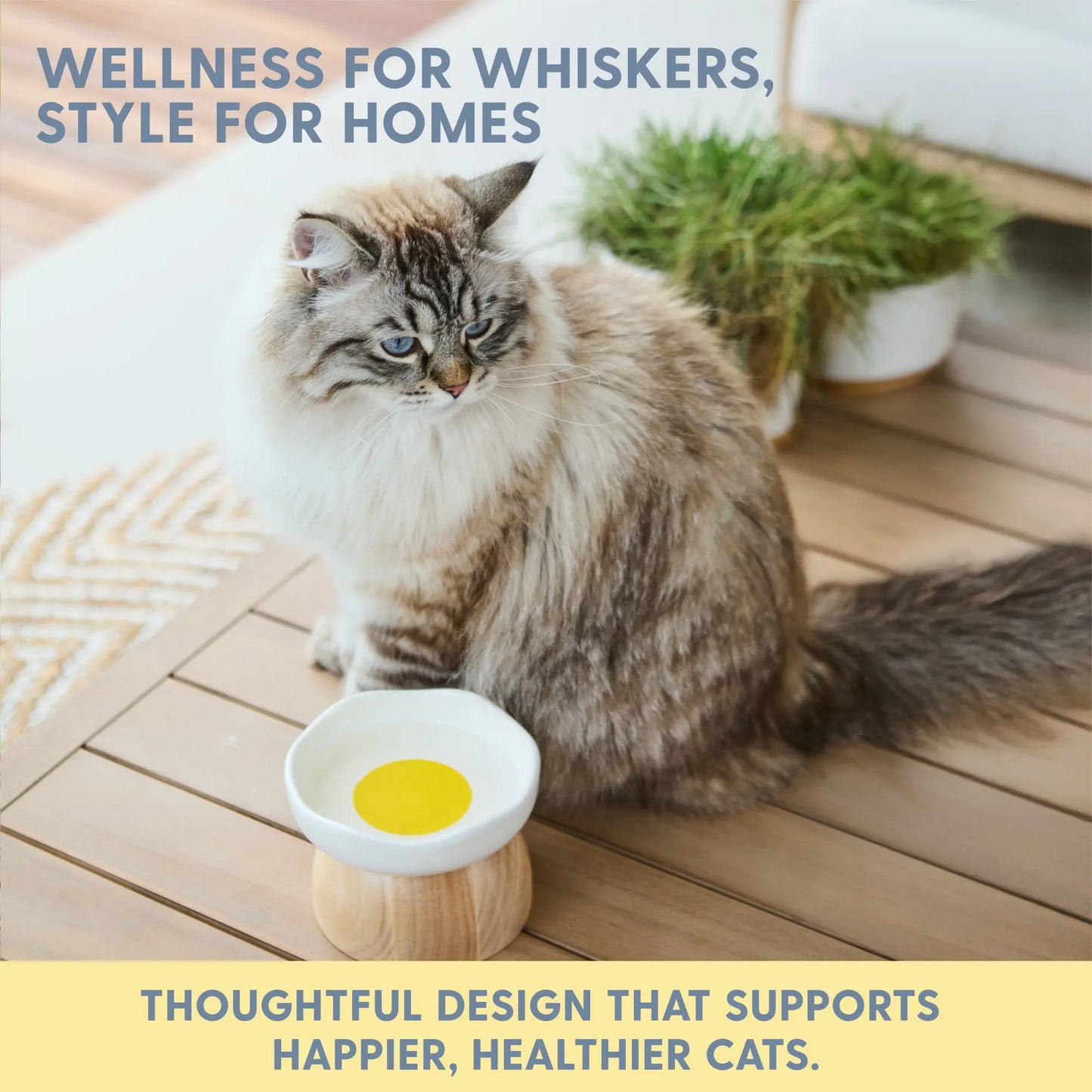 Egg Design Elevated Ceramic Cat Bowl with Wooden Stand – Whisker-Friendly Pet Food Bowl