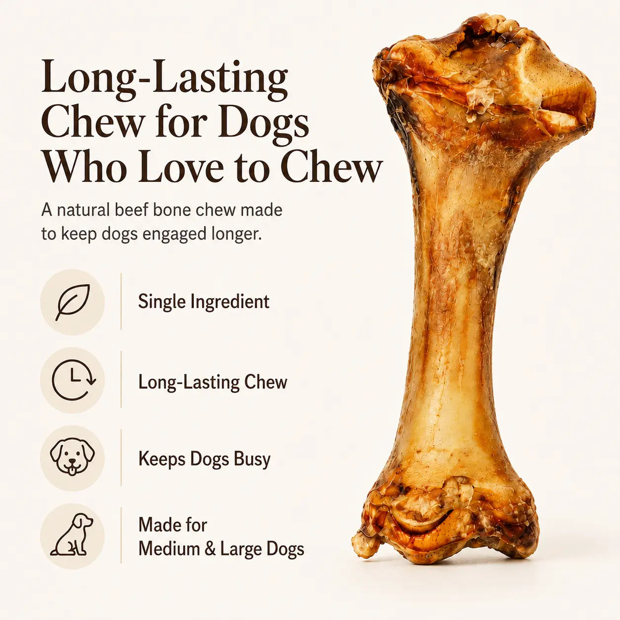 Natural Beef Bone Dog Chew – Long-Lasting Single-Ingredient Roasted Treat for Medium & Large Dogs