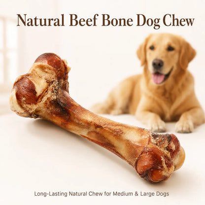 Natural Beef Bone Dog Chew – Long-Lasting Single-Ingredient Roasted Treat for Medium & Large Dogs