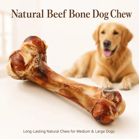 Natural Beef Bone Dog Chew – Long-Lasting Single-Ingredient Roasted Treat for Medium & Large Dogs