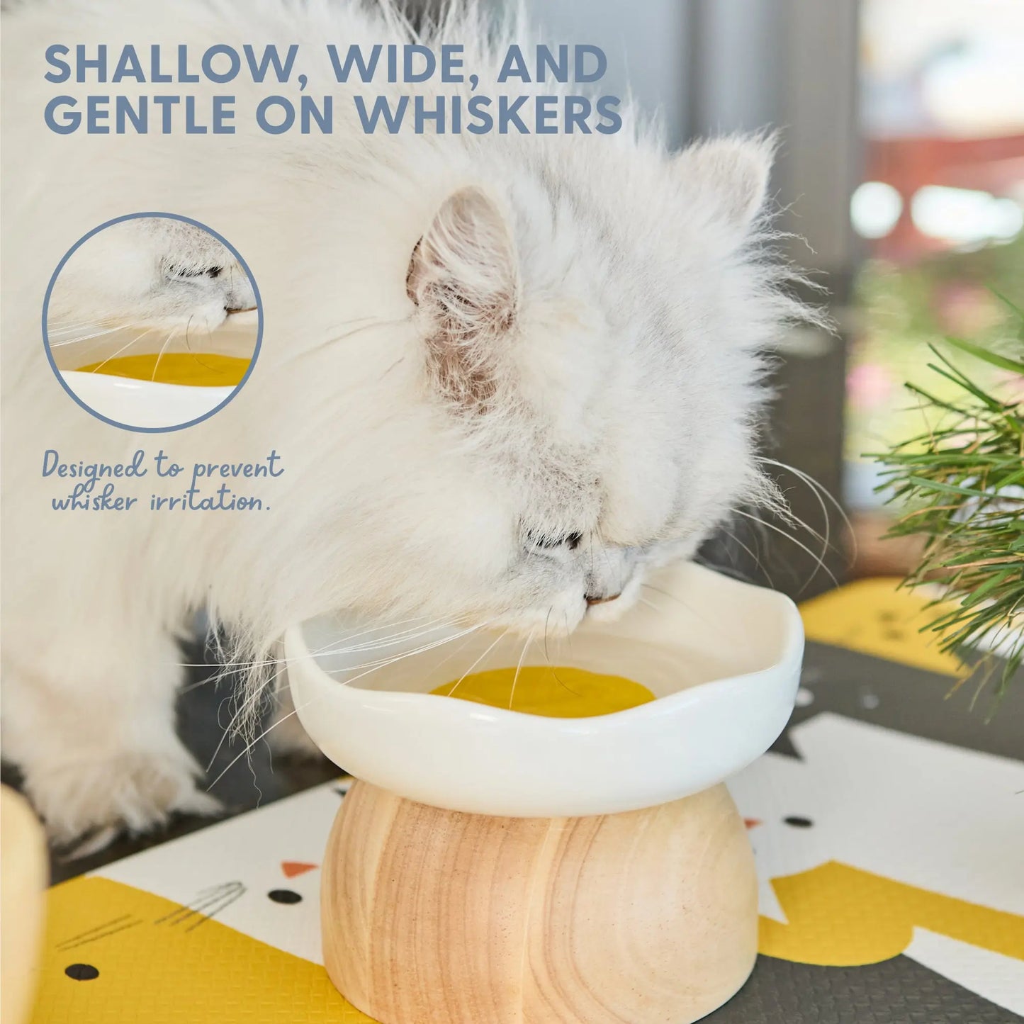 Egg Design Elevated Ceramic Cat Bowl with Wooden Stand – Whisker-Friendly Pet Food Bowl