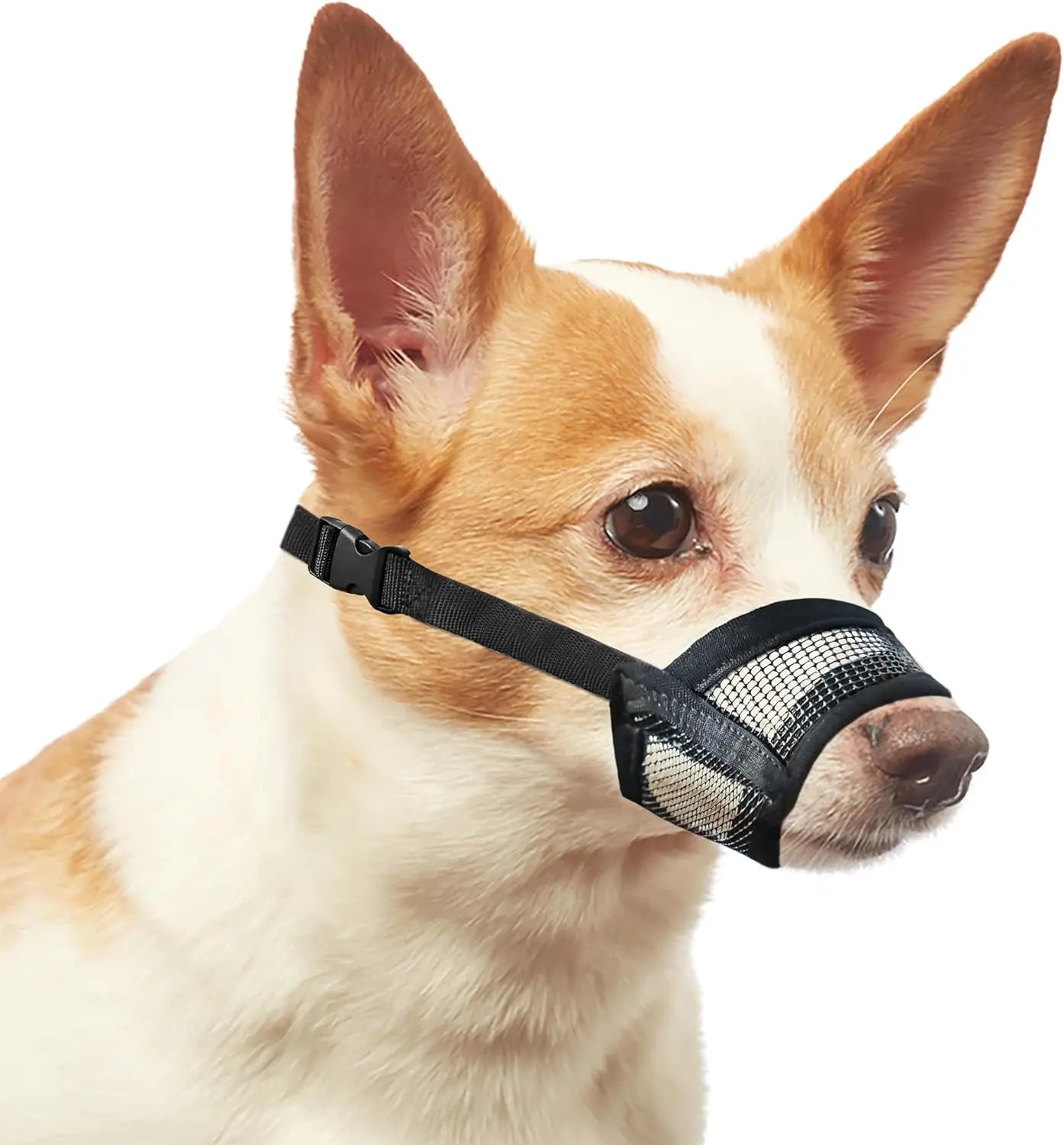Adjustable Air Mesh Dog Muzzle – Breathable No-Bark Muzzle for Small, Medium & Large Dogs