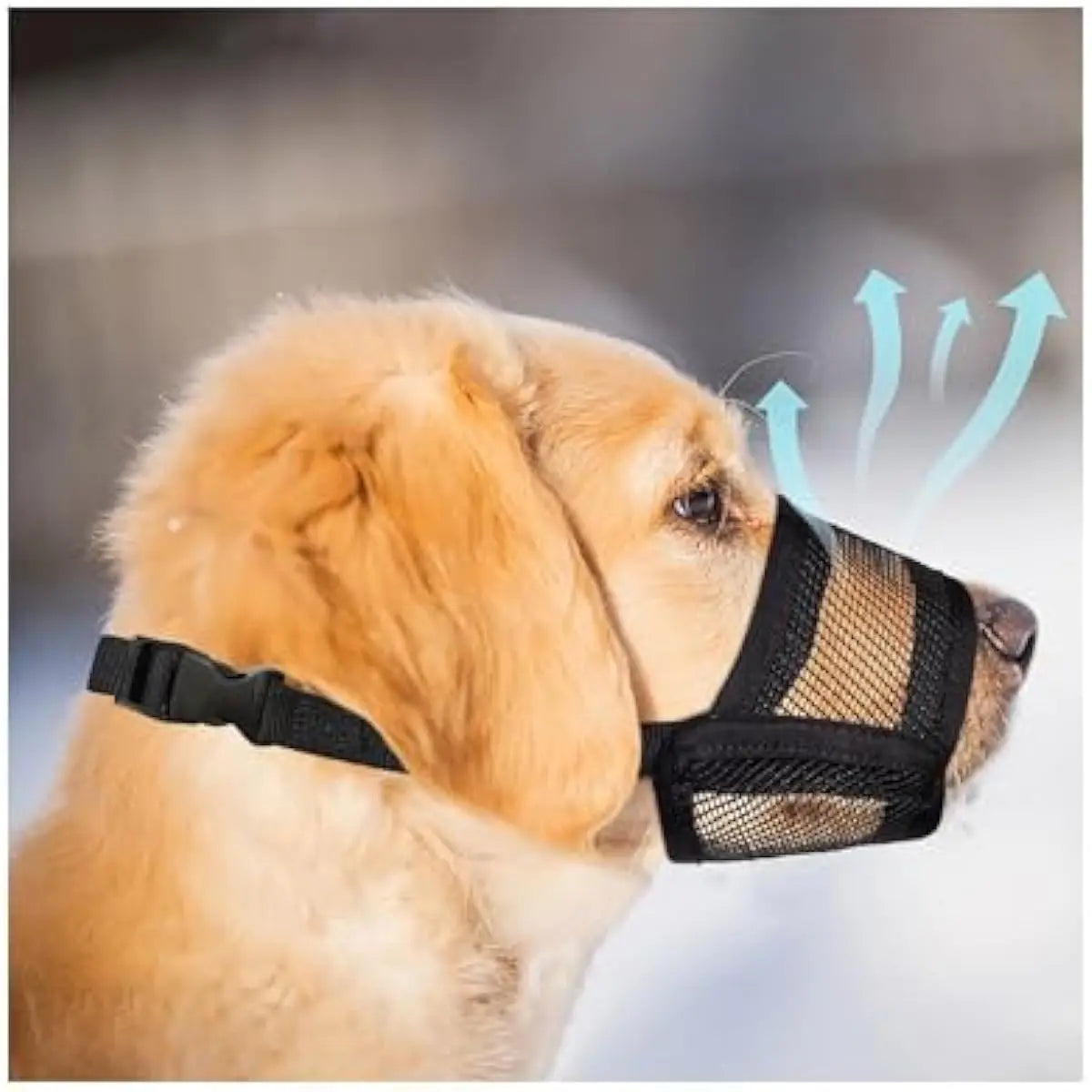 Adjustable Air Mesh Dog Muzzle – Breathable No-Bark Muzzle for Small, Medium & Large Dogs
