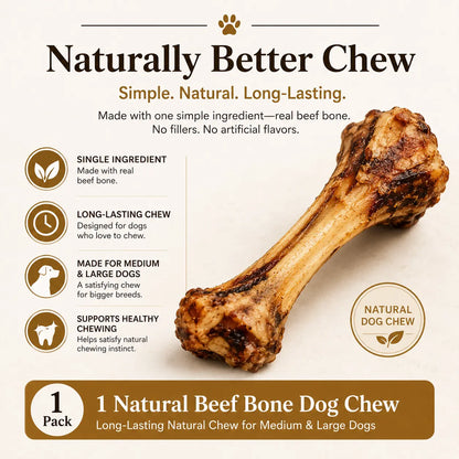 Natural Beef Bone Dog Chew – Long-Lasting Single-Ingredient Roasted Treat for Medium & Large Dogs
