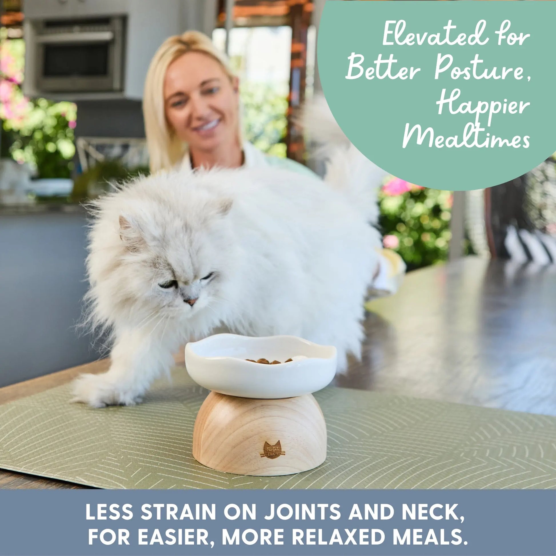 Egg Design Elevated Ceramic Cat Bowl with Wooden Stand – Whisker-Friendly Pet Food Bowl