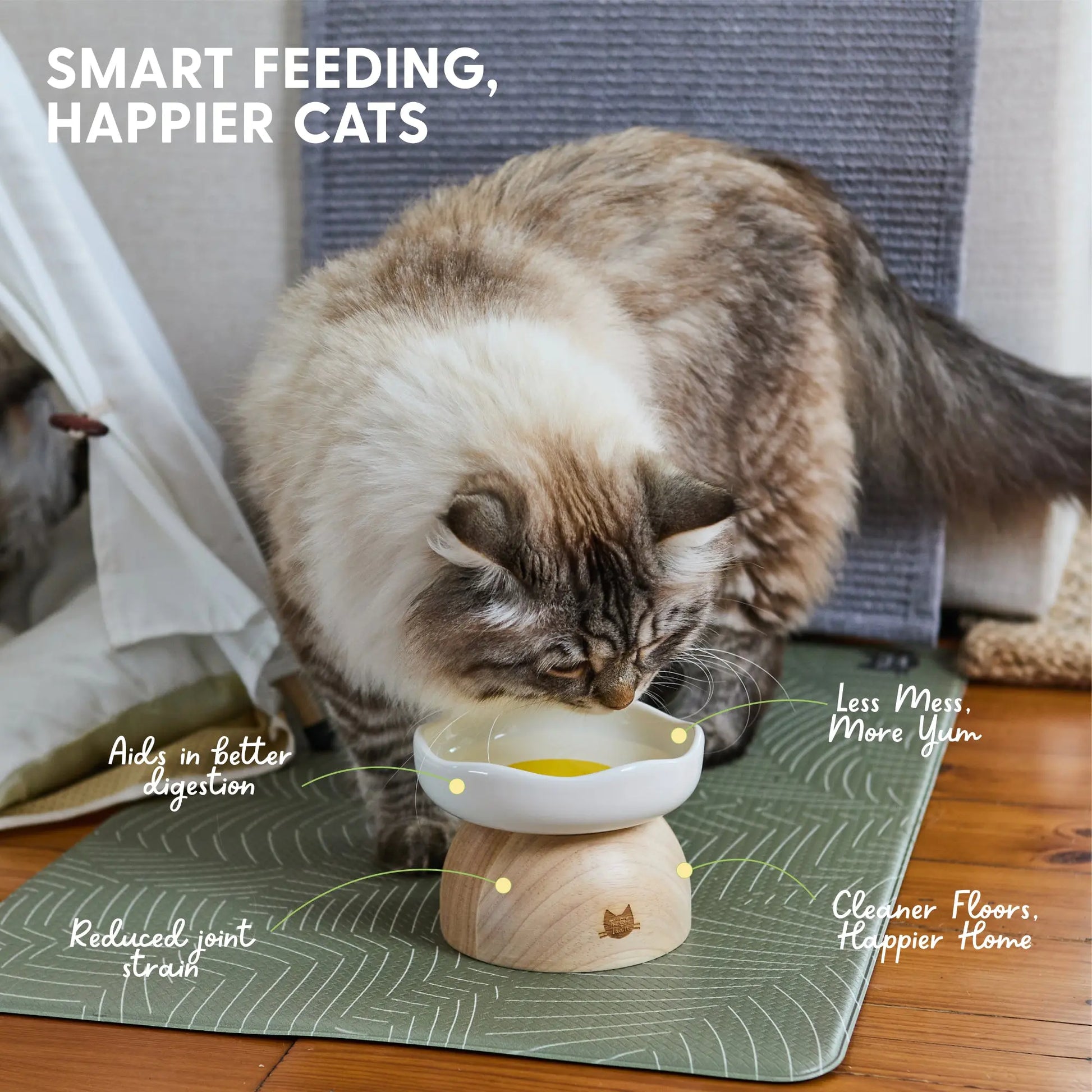 Egg Design Elevated Ceramic Cat Bowl with Wooden Stand – Whisker-Friendly Pet Food Bowl