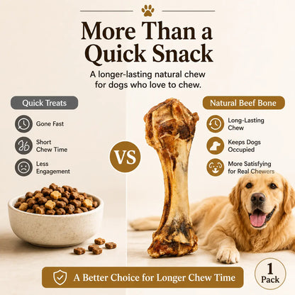 Natural Beef Bone Dog Chew – Long-Lasting Single-Ingredient Roasted Treat for Medium & Large Dogs