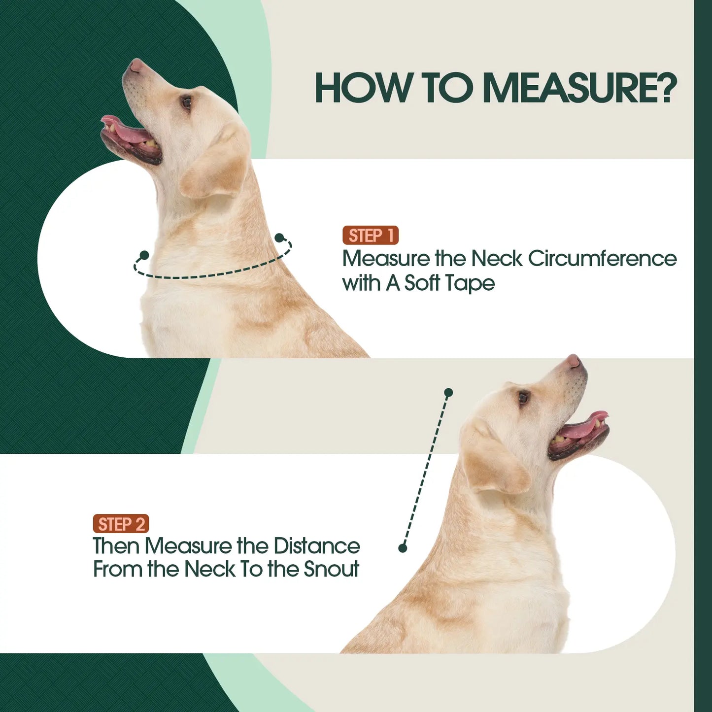 Kuoser Soft Dog Recovery Cone Collar – Adjustable Protective Collar for Small, Medium & Large Dogs
