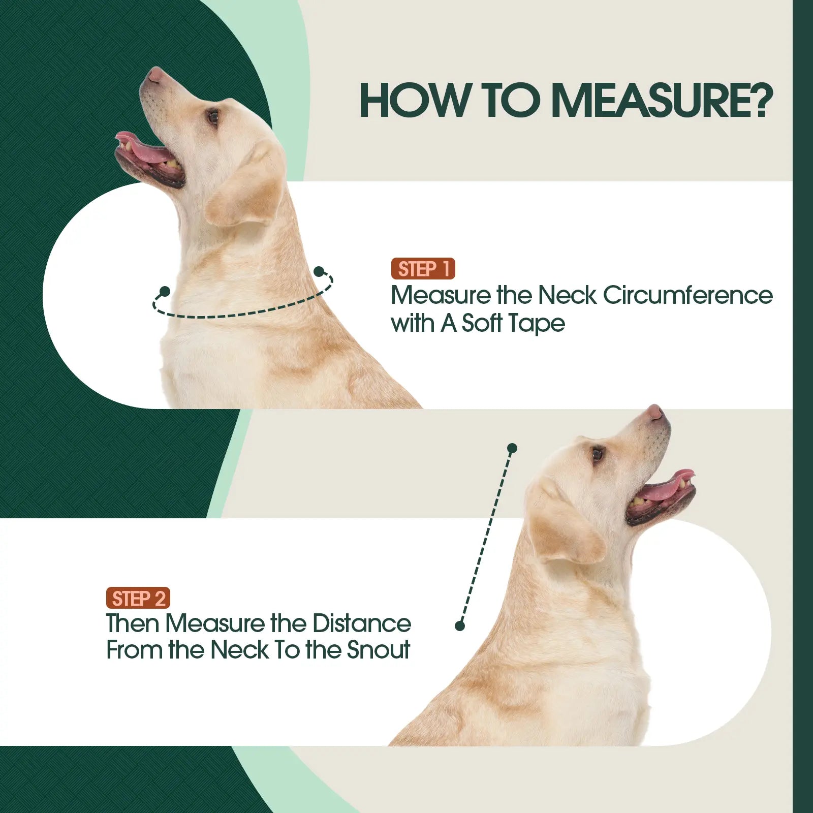 Kuoser Soft Dog Recovery Cone Collar – Adjustable Protective Collar for Small, Medium & Large Dogs