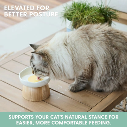 Egg Design Elevated Ceramic Cat Bowl with Wooden Stand – Whisker-Friendly Pet Food Bowl