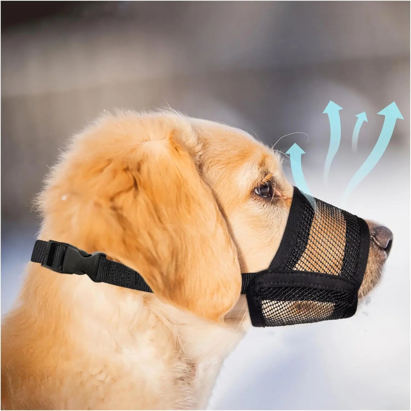 Adjustable Air Mesh Dog Muzzle – Breathable No-Bark Muzzle for Small, Medium & Large Dogs